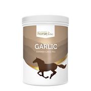 Pasze dla zwierząt - HorseLinePro Garlic 1400g Czosnek dla konia - miniaturka - grafika 1