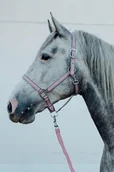 Kantary dla koni - Horze Kantar + uwiąz MUNICH - miniaturka - grafika 1