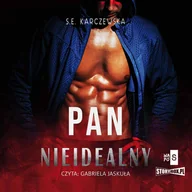Audiobooki - romanse - Pan Nieidealny - miniaturka - grafika 1
