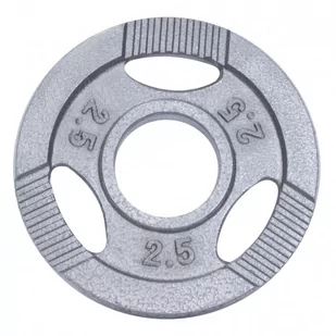 Srebrne obciążenie żeliwne z uchwytami GRIP 2,5 kg 50/51 mm - Obciążenia - miniaturka - grafika 1