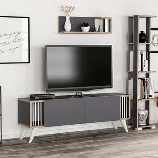Szafka pod TV Albertslund z półką ścienną i 2 drzwiczkami Ława pod TV 42 x 120 x 31 cm Stolik pod TV z półką ścienną i 2 składanymi drzwiczkami Szafka pod TV Lowboard Szafka pod TV antracytowa / o wyglądzie drewna - Szafki RTV - miniaturka - grafika 1