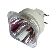 Lampy do projektorów - Lampa do VIVITEK DH976WT - oryginalna lampa bez modułu - miniaturka - grafika 1