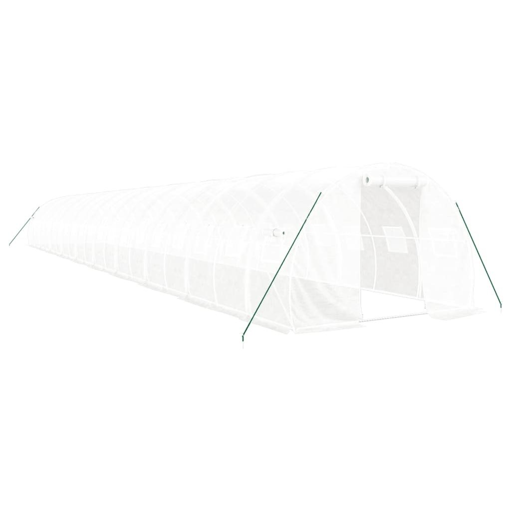 Prolenta Premium - Szklarnia z ramą stalową biała 60 m² 20x3x2 m