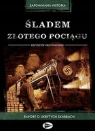 Felietony i reportaże - Śladem Złotego Pociągu - miniaturka - grafika 1
