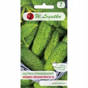 Nasiona i cebule - Ogórek Hermes Skierniewicki F1 Legutko - miniaturka - grafika 1