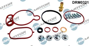 Zestaw naprawczy, pompa podciśnieniowa (układ hamulcowy) Dr.motor Automotive DRM0321 - Pompy hamulcowe - miniaturka - grafika 1
