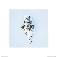 Plakaty - Śnieżna Wyspa - Reprodukcja - miniaturka - grafika 1