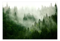 Fototapety - Fototapeta - Górski las (zielony) (rozmiar 100x70) - miniaturka - grafika 1