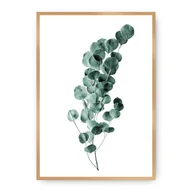 Plakaty - Dekoria Dekoria Plakat Eucalyptus Emerald Green 21 x 30 cm Ramka Złota 218A-000-02 - miniaturka - grafika 1