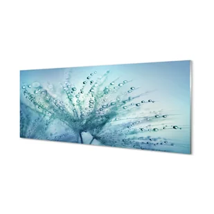 Szklana płyta Krople dmuchawiec makro 125x50 cm - Tablice i flipcharty - miniaturka - grafika 1