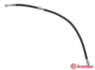 Przewody hamulcowe - BREMBO Przewód hamulcowy giętki BREMBO T56150 462102F205 T56150 - miniaturka - grafika 1