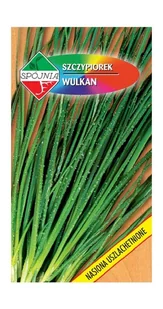 Szczypiorek ogrodowy Wulkan 2 g Spójnia - Nasiona i cebule - miniaturka - grafika 1