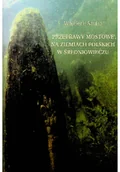 Felietony i reportaże - Przeprawy mostowe na Ziemiach Polskich w średniowieczu - miniaturka - grafika 1