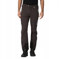 Spodnie męskie - Spodnie trekkingowe Regatta Higton II RMJ247S 61G M (32/30) - miniaturka - grafika 1