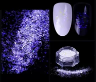Ozdoby do paznokci - Pyłek do paznokci - Magic Shards 01 - efekt szkła - miniaturka - grafika 1