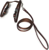 Smycze dla kotów - Alizoo Komplet dla kota, smycz plus szelki - ALIZOO - miniaturka - grafika 1