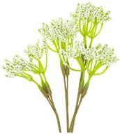 Zabawki kreatywne - Kwiaty Polne, 4 Szt. Écru, Dp Craft - miniaturka - grafika 1