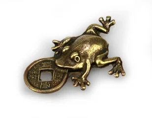 Żabka Mosiężna Średnia II Na Pomnażanie Pieniędzy Z Monetą - Gadżety dla niej i dla niego - miniaturka - grafika 5