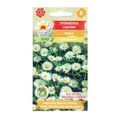 Nasiona i cebule - STOKROTKA ŁĄKOWA BIAŁA bylina nasiona kwiatów 0,2g - miniaturka - grafika 1