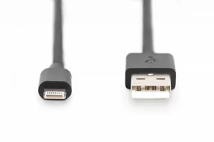 Kabel USB DIGITUS USB Typ A Męska 1 - Kable komputerowe i do monitorów - miniaturka - grafika 2