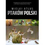 Słowniki języków obcych - Wielki Atlas Ptaków Polski Praca zbiorowa - miniaturka - grafika 1