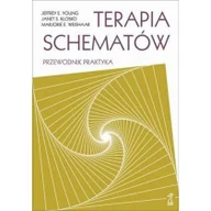 Poradniki psychologiczne - GWP PROFESJONALNE Terapia schematów. Przewodnik praktyka Young Jeffrey, Klosko Janet, Weishaar Marjorie - miniaturka - grafika 1