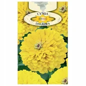 Nasiona i cebule - CYNIA DALIOWA ŻÓŁTA NASIONA KWIATÓW ROŚLIN OZDOBNYCH p. 2H60; 4H60; - miniaturka - grafika 1