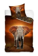Pościel dla dzieci - Carbotex Pościel bawełniana 160x200 Słoń Africa poszewka 70x80 - miniaturka - grafika 1