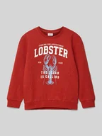 Swetry dla chłopców - Bluza z nadrukiem z motywem i napisem model ‘FABIAN’ - miniaturka - grafika 1