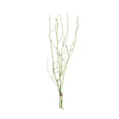 Sztuczne kwiaty - Gałązka Leszczyny 50cm light green, 10 x 10 x 50 cm - miniaturka - grafika 1