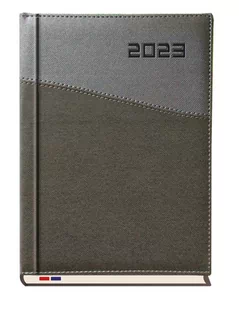 Michalczyk&Prokop Kalendarz 2019 Asesor T-249K-52 T-249K-52 - Kalendarze - miniaturka - grafika 1