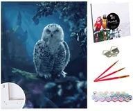 Malowanie po numerach - Zestaw do malowania po numerach, 40x50 cm, Sowa w Tajemniczym Lesie - miniaturka - grafika 1