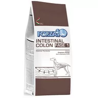 Sucha karma dla psów - Forza10 Intestinal Colon Fase 1 1,4 kg - miniaturka - grafika 1