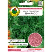 Nasiona i cebule - Koper ogrodowy 'Szmaragd' nasiona inkrustowane Pnos - miniaturka - grafika 1