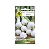 Nasiona i cebule - Cebula szczypiorkowa Pompei nasiona Pnos - miniaturka - grafika 1