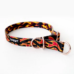 Obroża półzaciskowa Dog On Fire szeroka na 2,5 cm, dla średnich i większych psów, różowe złoto-L/XL - Szelki dla psów - miniaturka - grafika 1