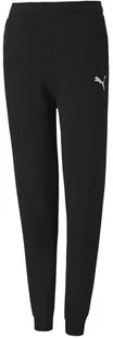Spodnie dla dzieci Puma teamGOAL 23 Casuals Pants Jr czarne 656713 03-140 - Spodnie męskie - miniaturka - grafika 1