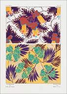 Plakaty - Vintage flower patterns, elegant Art Nouveau, E. A. Séguy -  plakat Wymiar do wyboru: 30x40 cm - miniaturka - grafika 1