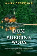 Literatura obyczajowa - Dom nad srebrną wodą - miniaturka - grafika 1