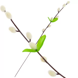 Bazia Palma Wielkanocna Bazie Gałązka Dekoracyjna - Sztuczne kwiaty - miniaturka - grafika 1