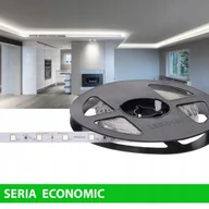 Taśmy LED - Taśma Led 12V DC biały zimny, pasek 5 m - miniaturka - grafika 1