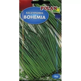 SZCZYPIOREK BOHEMIA 2G - Nasiona i cebule - miniaturka - grafika 1