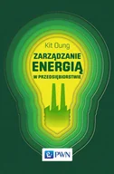 E-booki - nauka - Zarządzanie energią w przedsiębiorstwie - miniaturka - grafika 1