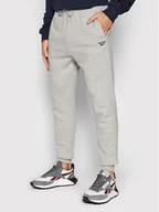 Spodnie sportowe męskie - Reebok Spodnie dresowe Fleece GS1600 Szary Regular Fit 4064055059587 - miniaturka - grafika 1