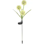 Lampy ogrodowe - Lampa solarna SASKA GARDEN Mniszek Lekarski 1061528 - miniaturka - grafika 1