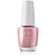 Lakiery do paznokci - WEBHIDDENBRAND Lakier do paznokci Nature Strong 15 ml Cień For What Its Earth) - miniaturka - grafika 1