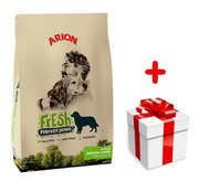 Sucha karma dla psów - ARION Fresh Adult medium large 12kg + niespodzianka dla psa GRATIS! - miniaturka - grafika 1