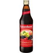 Rabenhorst SOK WIELOOWOCOWY REGENERUJĄCY BIO 750 ml -