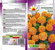 Nasiona i cebule - Nasiona Aksamitka Kora Pomarańczowa Toraf - miniaturka - grafika 1