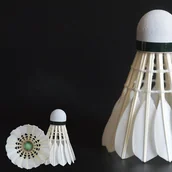 Badminton - Mocne Lotki piórowe do Badmintona 12 szt. - miniaturka - grafika 1